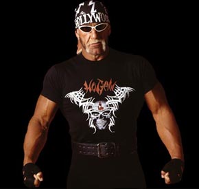 h29.jpg (17652 bytes)